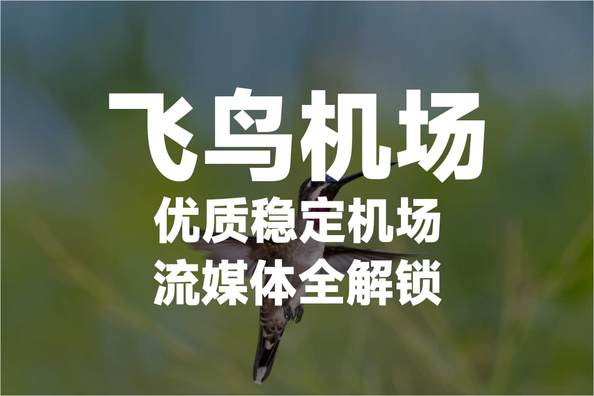 飞鸟机场 2025年最新 Quantumult 机场推荐